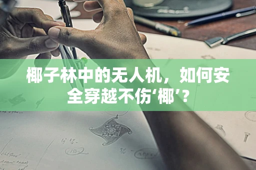 椰子林中的无人机，如何安全穿越不伤‘椰’？