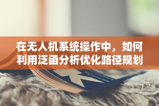 在无人机系统操作中，如何利用泛函分析优化路径规划？