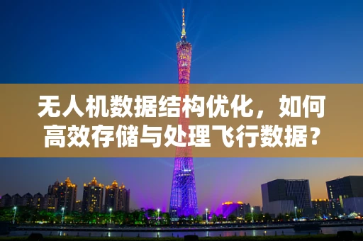 无人机数据结构优化，如何高效存储与处理飞行数据？