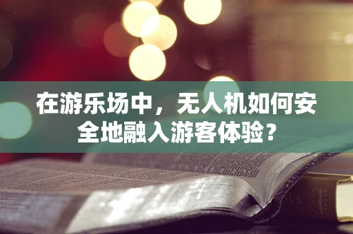 在游乐场中，无人机如何安全地融入游客体验？