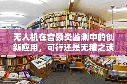 无人机在宫颈炎监测中的创新应用，可行还是无稽之谈？