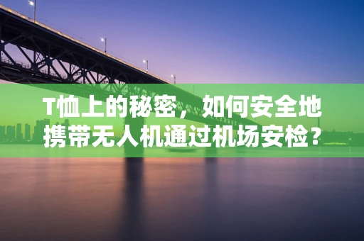 T恤上的秘密，如何安全地携带无人机通过机场安检？