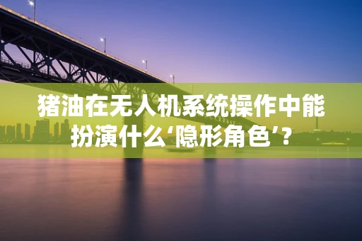 猪油在无人机系统操作中能扮演什么‘隐形角色’？