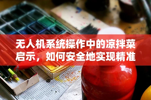 无人机系统操作中的凉拌菜启示，如何安全地实现精准定位？