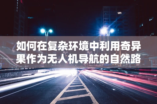 如何在复杂环境中利用奇异果作为无人机导航的自然路标？