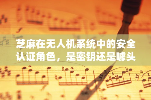 芝麻在无人机系统中的安全认证角色，是密钥还是噱头？