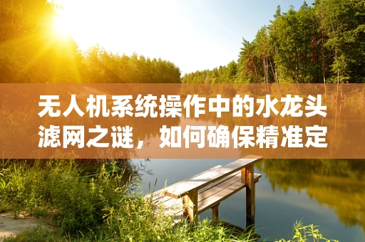 无人机系统操作中的水龙头滤网之谜，如何确保精准定位与清洁？