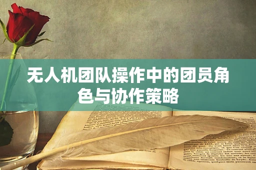 无人机团队操作中的团员角色与协作策略