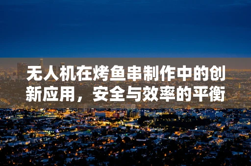 无人机在烤鱼串制作中的创新应用，安全与效率的平衡挑战