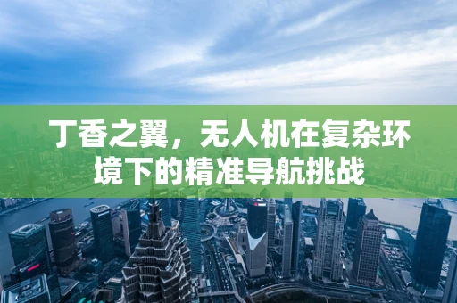 丁香之翼，无人机在复杂环境下的精准导航挑战
