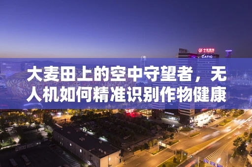 大麦田上的空中守望者，无人机如何精准识别作物健康？