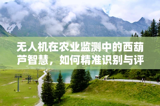 无人机在农业监测中的西葫芦智慧，如何精准识别与评估？