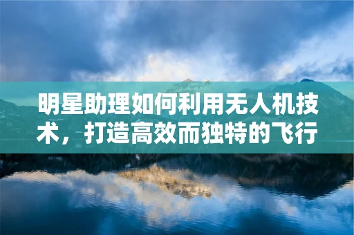 明星助理如何利用无人机技术，打造高效而独特的飞行服务？