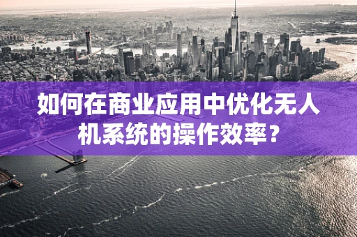 如何在商业应用中优化无人机系统的操作效率？