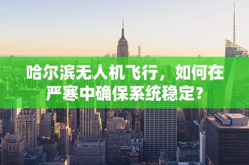 哈尔滨无人机飞行，如何在严寒中确保系统稳定？