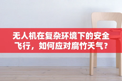 无人机在复杂环境下的安全飞行，如何应对腐竹天气？