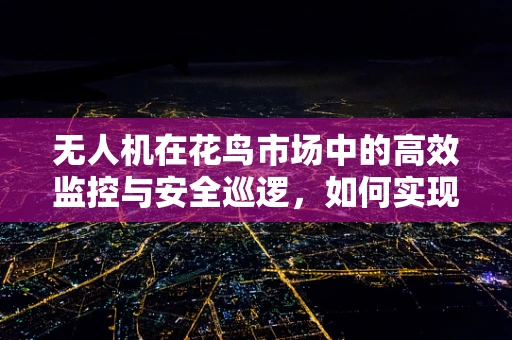 无人机在花鸟市场中的高效监控与安全巡逻，如何实现？