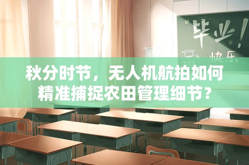 秋分时节，无人机航拍如何精准捕捉农田管理细节？