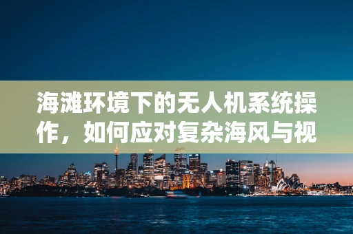 海滩环境下的无人机系统操作，如何应对复杂海风与视线干扰？
