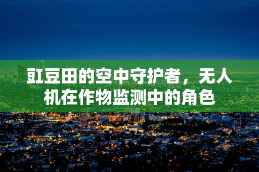 豇豆田的空中守护者，无人机在作物监测中的角色