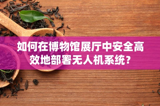 如何在博物馆展厅中安全高效地部署无人机系统？