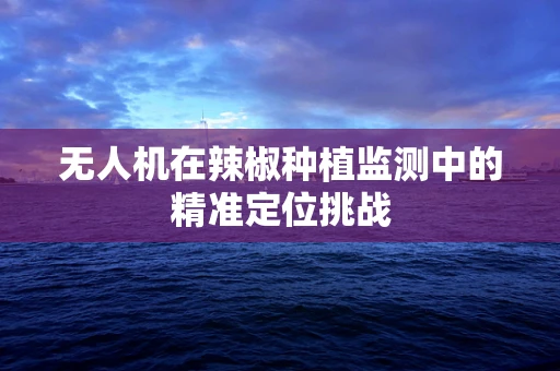 无人机在辣椒种植监测中的精准定位挑战