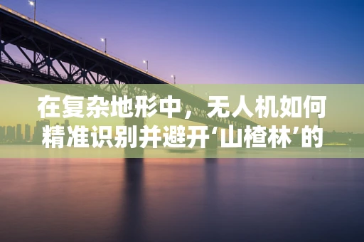 在复杂地形中，无人机如何精准识别并避开‘山楂林’的挑战？