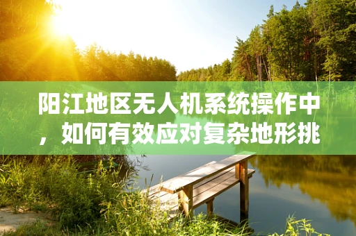 阳江地区无人机系统操作中，如何有效应对复杂地形挑战？