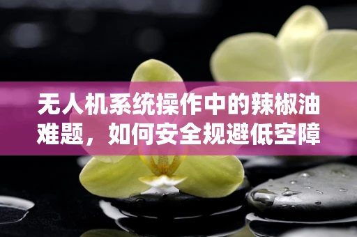 无人机系统操作中的辣椒油难题，如何安全规避低空障碍？