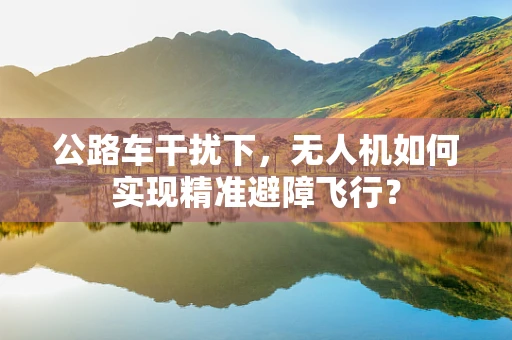 公路车干扰下，无人机如何实现精准避障飞行？