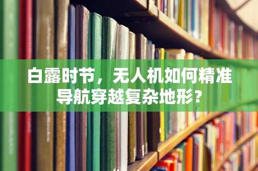 白露时节，无人机如何精准导航穿越复杂地形？