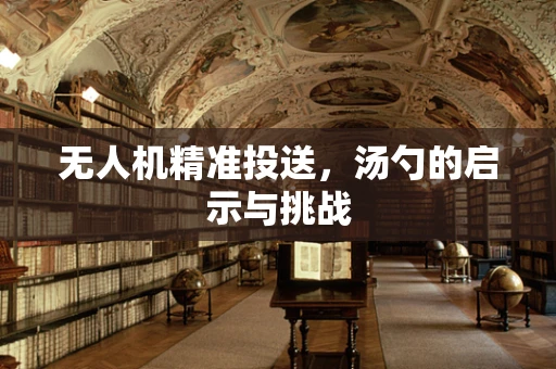 无人机精准投送，汤勺的启示与挑战