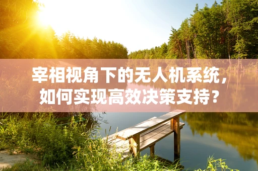 宰相视角下的无人机系统，如何实现高效决策支持？