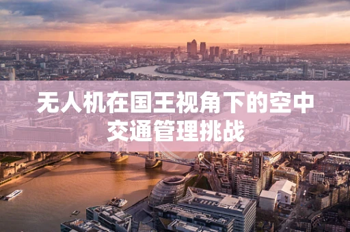 无人机在国王视角下的空中交通管理挑战