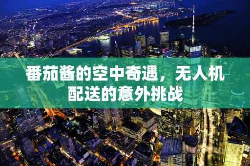 番茄酱的空中奇遇，无人机配送的意外挑战