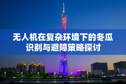 无人机在复杂环境下的冬瓜识别与避障策略探讨