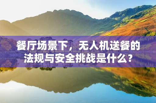 餐厅场景下，无人机送餐的法规与安全挑战是什么？