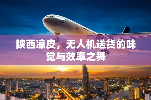 陕西凉皮，无人机送货的味觉与效率之舞