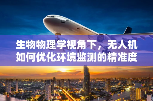 生物物理学视角下，无人机如何优化环境监测的精准度？