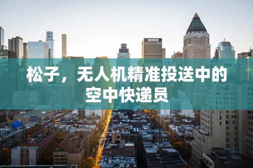 松子，无人机精准投送中的空中快递员