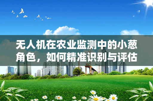 无人机在农业监测中的小葱角色，如何精准识别与评估？