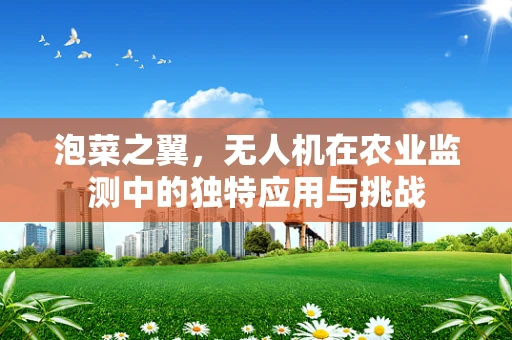 泡菜之翼，无人机在农业监测中的独特应用与挑战