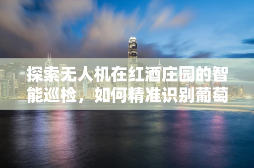 探索无人机在红酒庄园的智能巡检，如何精准识别葡萄成熟度？