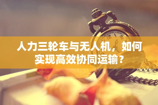 人力三轮车与无人机，如何实现高效协同运输？