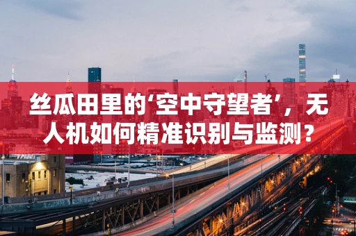 丝瓜田里的‘空中守望者’，无人机如何精准识别与监测？