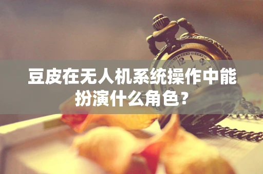 豆皮在无人机系统操作中能扮演什么角色？