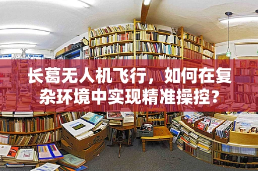 长葛无人机飞行，如何在复杂环境中实现精准操控？