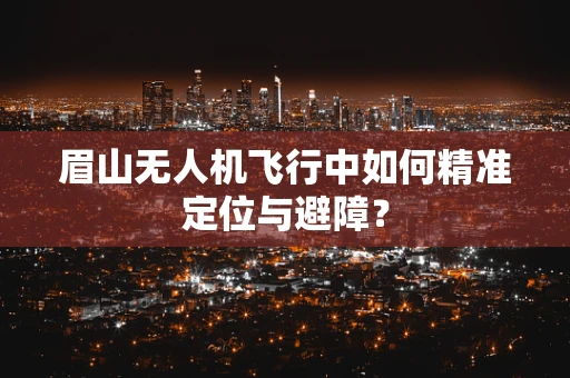 眉山无人机飞行中如何精准定位与避障？