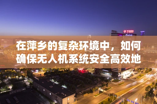 在萍乡的复杂环境中，如何确保无人机系统安全高效地执行任务？