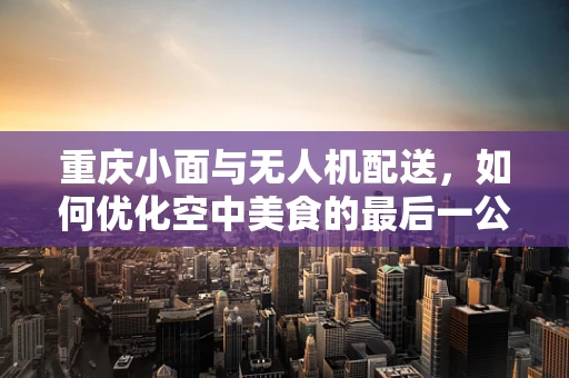 重庆小面与无人机配送，如何优化空中美食的最后一公里？